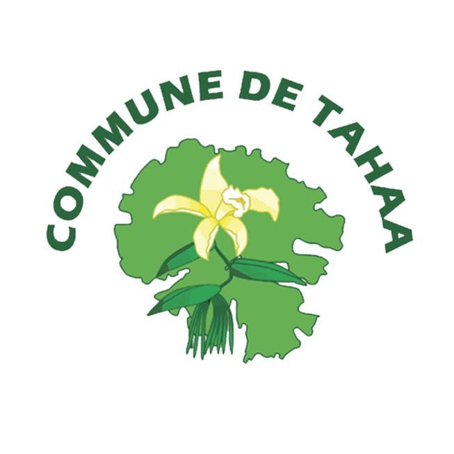 Odoo • Image et Texte
